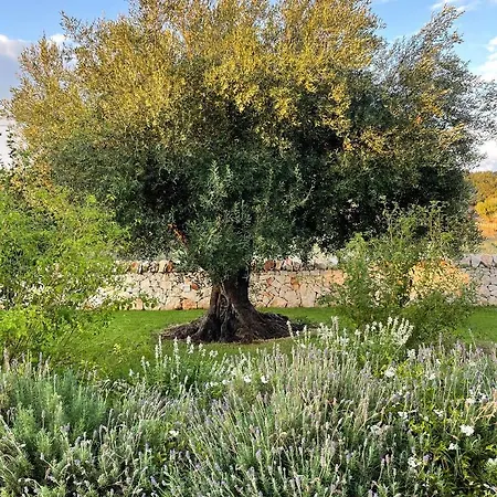 Trullo Matilde 別荘 *