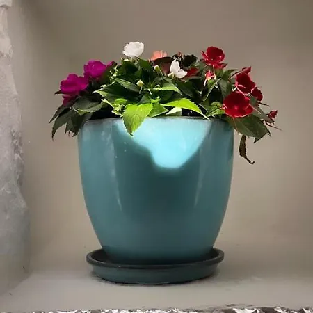 Trullo Matilde Holiday home Martina Franca